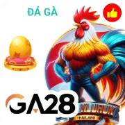 kong88 Game 02
